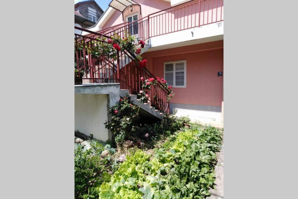 Danica Apartment